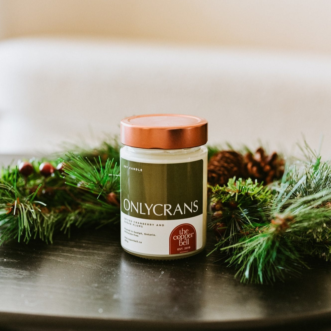 onlycrans funny onlyfans candle. scented candle perfect for the spicy accountant in your life. spiced cranberry christmas candle